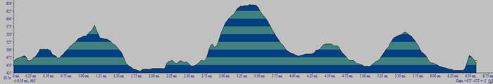 topo profile