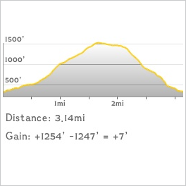 NJ1K profile