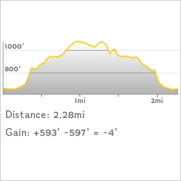 NJ1K profile