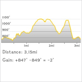 NJ1K profile
