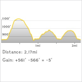 NJ1K profile